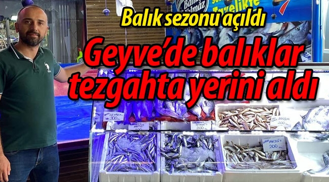 Geyve'de balıklar tezgahta yerini aldı