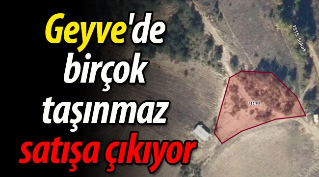 Geyve'de Hazine Arazileri Satışa Çıkıyor!