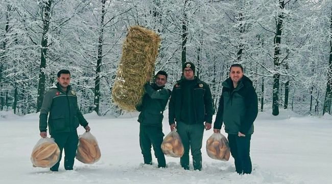 Geyve ormanlarında hayvanlara yem bırakıldı